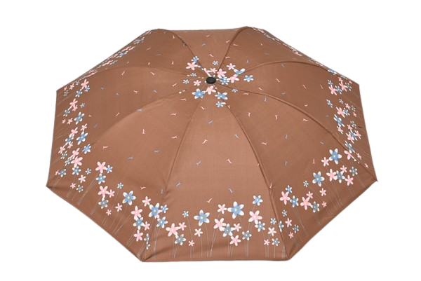 DOAMNELOR PLIERE UMBRELĂ PE FLORI