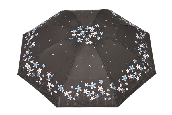 DOAMNELOR PLIERE UMBRELĂ PE FLORI