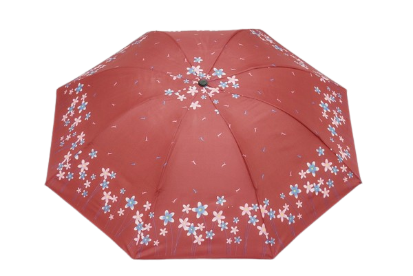 DOAMNELOR PLIERE UMBRELĂ PE FLORI