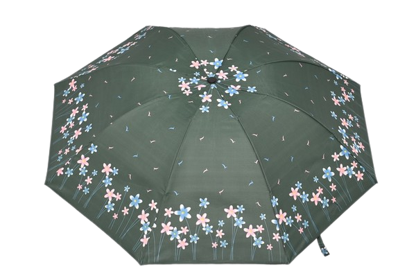 DOAMNELOR PLIERE UMBRELĂ PE FLORI