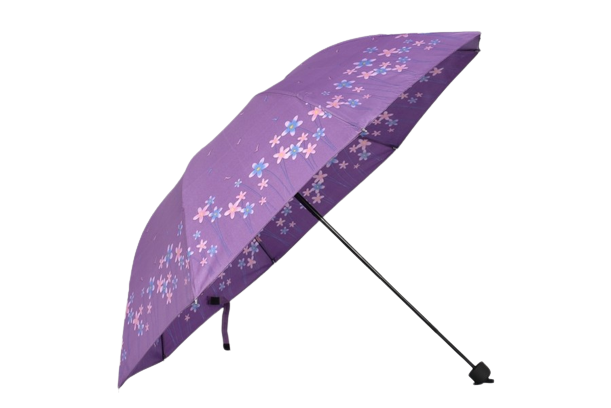 DOAMNELOR PLIERE UMBRELĂ PE FLORI