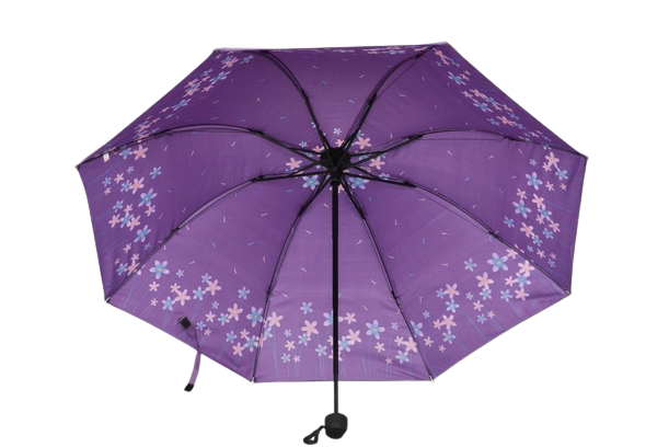 DOAMNELOR PLIERE UMBRELĂ PE FLORI