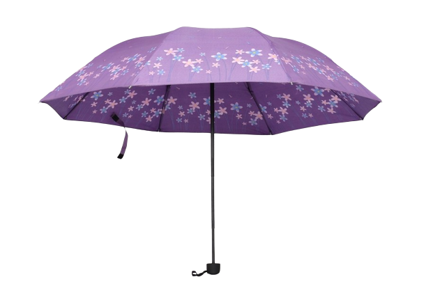 DOAMNELOR PLIERE UMBRELĂ PE FLORI