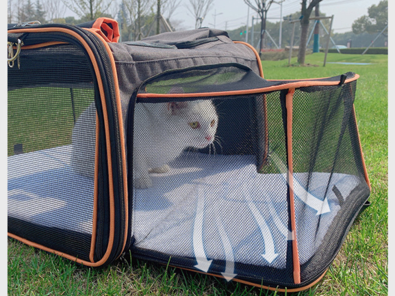 GEANTĂ PLIABILĂ PENTRU ANIMALE DE COMPANIE