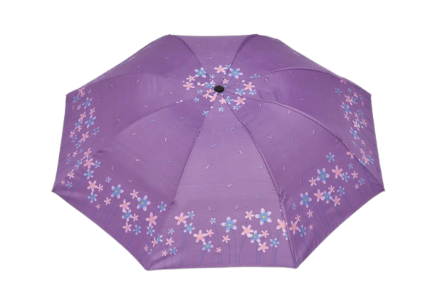 DOAMNELOR PLIERE UMBRELĂ PE FLORI